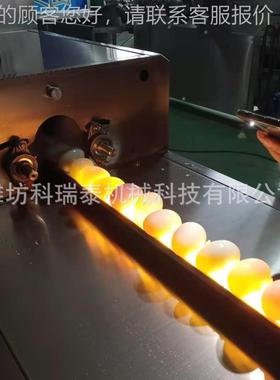 鸭清洗OYH流低水试线大量生产洗蛋机厂家水槽收蛋破损蛋率厂家免