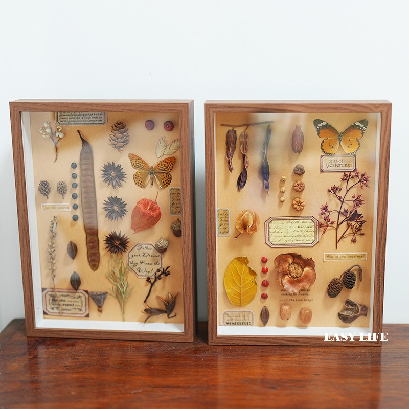 复古风植物标标本画客厅干燥花立体装饰画侘寂风墙面挂画复古摆件图片