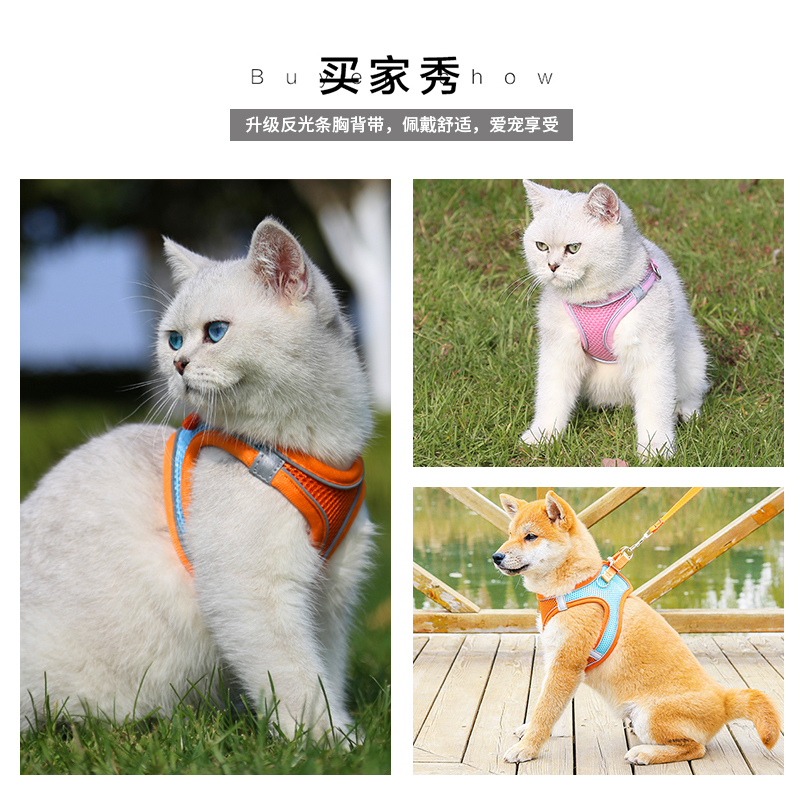 狗狗牵引绳背心式小型犬遛狗猫咪牵引绳外出胸背带防挣脱泰迪比熊