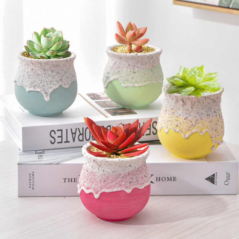 多肉植物组合盆栽送土送花盆,鲜花速递/花卉仿真/绿植园艺,多肉植物,淘宝优惠券,粉丝福利购,淘宝优惠卷