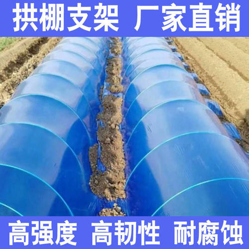 50根小拱棚支架拱杆竿大棚内棚套棚骨架玻璃纤维杆地膜园艺农用业