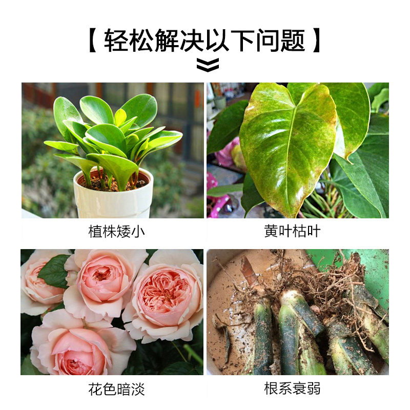 脱脂骨粉花肥料有机肥高磷钙肥促花开花肥促生长花卉家庭园艺通用,鲜花速递/花卉仿真/绿植园艺,家庭园艺肥料,淘宝优惠券,粉丝福利购,淘宝优惠卷