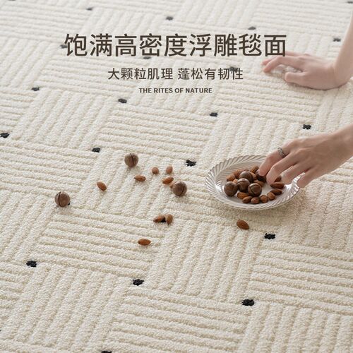 地毯家用客厅卧室2025新款免洗可擦轻奢高级硅藻丝大面积全铺地垫