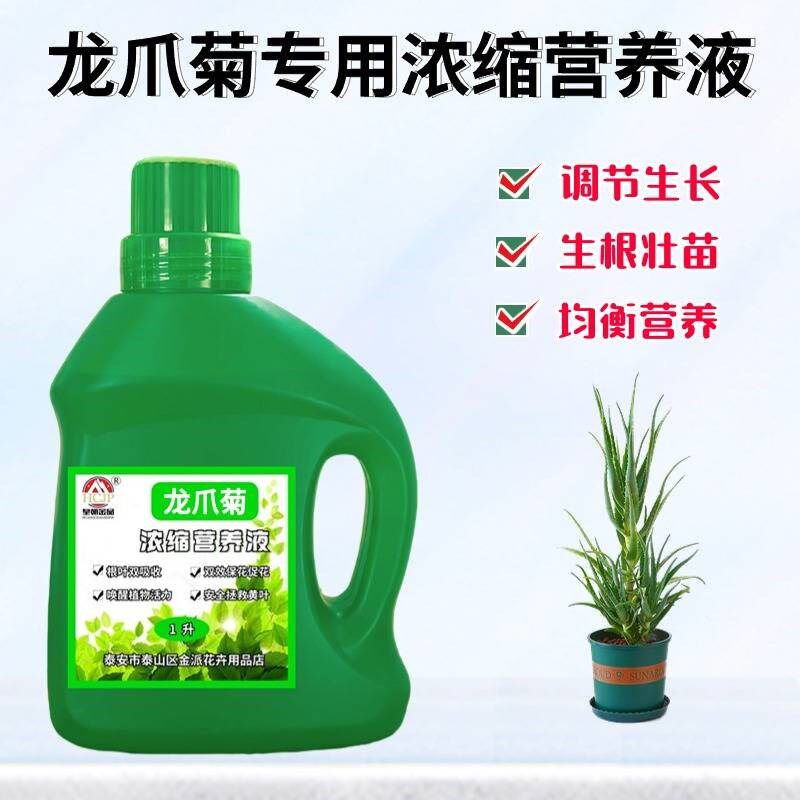 龙爪菊专用浓缩营养液阳台盆栽绿植物木立芦荟通用促生根液体肥料