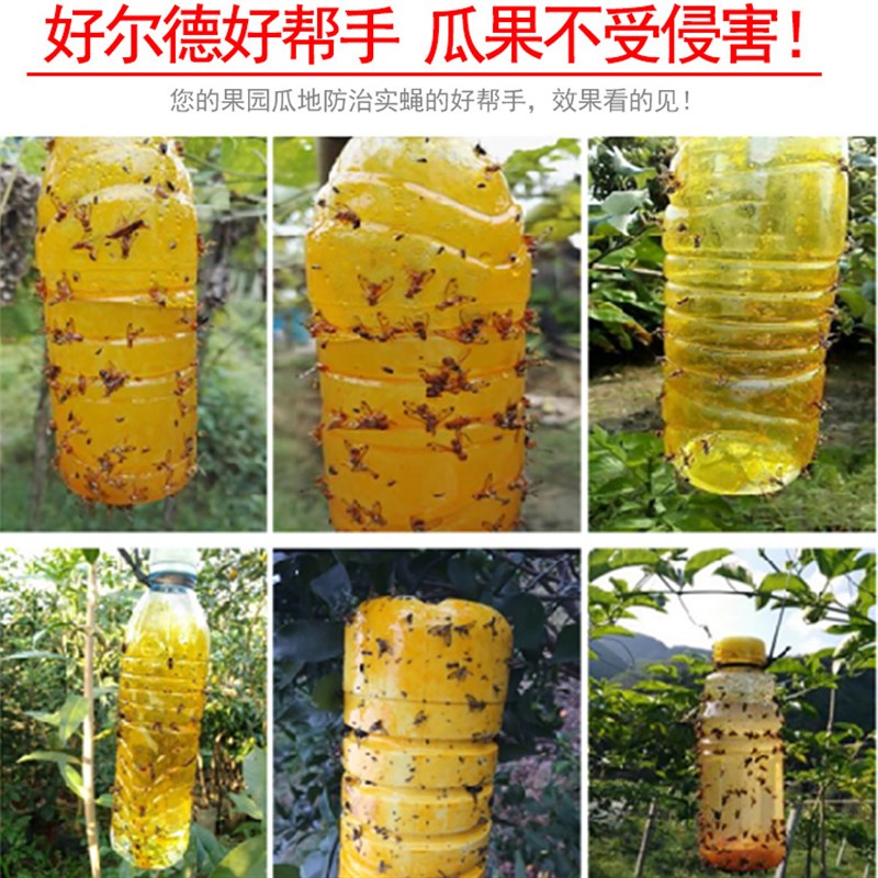 好尔德瓜果实蝇诱粘剂物理诱粘胶板果园菜地针蜂引诱剂果蝇诱捕器图片