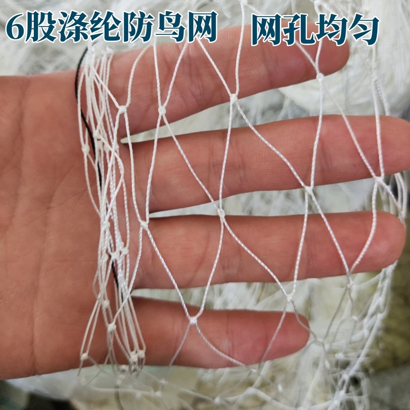 高强涤纶合股防鸟网果园果树大棚防鸟天网户外鱼塘养殖涤纶防护网