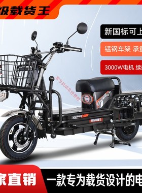 超级载重王电动车新款电动轻便摩托车路霸拉货大力神两轮快递电车