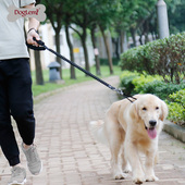 中型犬狗狗牵引绳防咬断大型犬宠物牵引绳伸缩防爆冲弹力遛狗绳子