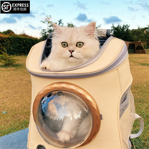 猫咪背包外出双肩太空舱宠物包猫书包猫笼子便携猫袋泰迪猫包大号