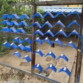 鸽子用品用具 栖架 带挂钩站架 鸽子站架 塑料木质支架 息架 鸽具