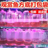 锦鲤打包袋观赏鱼航空包装 送皮筋 袋运输打包袋塑料袋四角方底袋