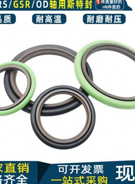 STd斯特封RS组合GSR油封 180 190 200 205*201 211 221 225.5*8.1