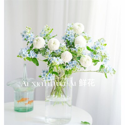 蓝白谜语组合鲜花家居办公插花水养白色乒乓菊蓝星花混搭花束花艺