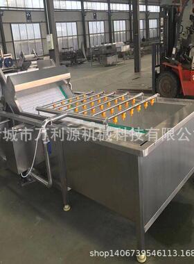 厂家特惠果蔬清洗设备梅干菜气泡清洗机蔬菜压喷淋清洗机
