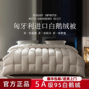 ARMLM匈牙利进口羽绒被95%白鹅绒被子冬被加厚保暖酒店被芯春秋被