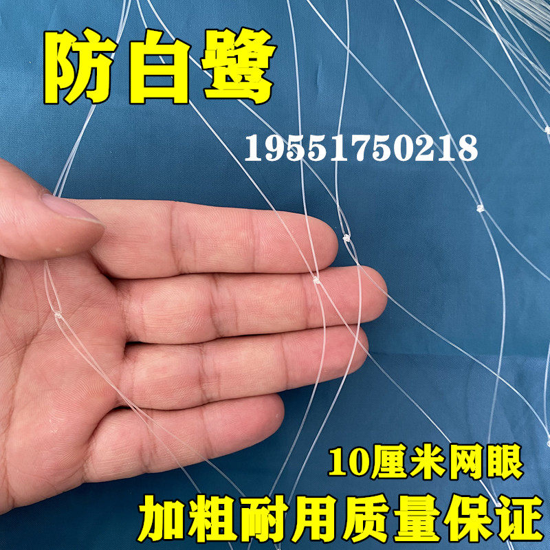 鱼塘防鸟用网青蛙养殖场防白鹭10公分网眼防鸟天网鱼塘天网防护网