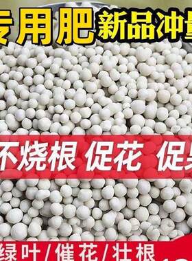 白芨专用肥料全套有机肥复合肥底肥追肥颗粒促生长高产肥包邮
