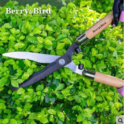 Berry&Bird园艺绿篱剪 花艺果树大剪刀