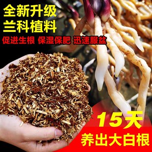 杉树皮屑兰花g专业植料杉树木屑兰花专用土壤杉木屑植料兰花营养
