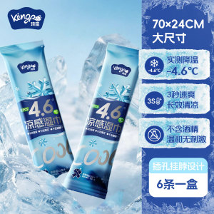 琦宝薄荷冰感降温防暑湿巾