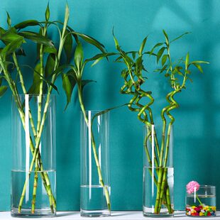 水竹花瓶专用插花瓶子玻璃富贵竹水培水养透明大号转运竹大口径