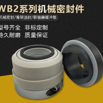 机械密封WB2/212-25/30/35/40/45/50化工泵耐腐蚀四氟定制密封圈
