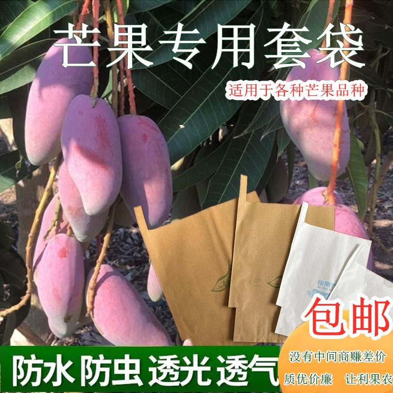芒果套袋专用袋子金煌凯特加厚白色防鸟防水芒果袋子