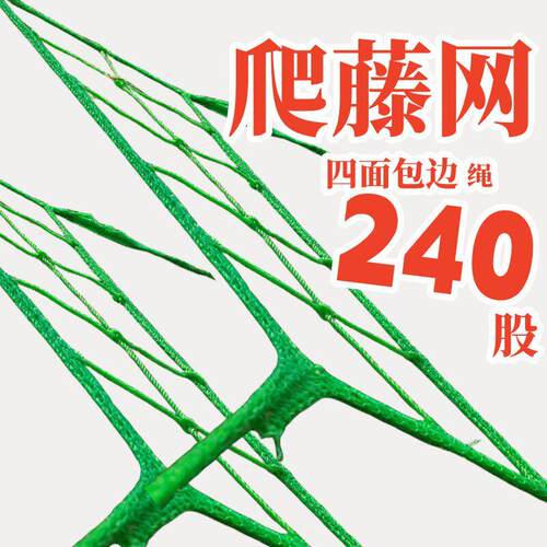园艺植物爬藤网种植攀爬网瓜网丝瓜黄瓜豆角百香果葡萄藤蔓搭架网