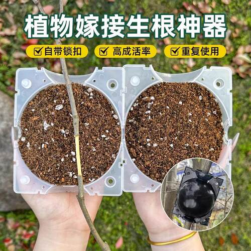 植物高压繁殖嫁接盒花卉果树控根神器扦插枝繁殖球生根育苗繁殖器