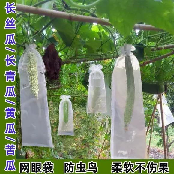 长丝瓜网眼套袋黄瓜青瓜苦瓜套袋专用袋防虫袋保护套瓜果水果瓜果