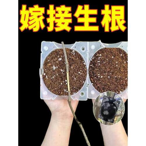 植物高压嫁接繁殖盒扦插果树枝条育苗器花木嫁接移栽神器家用月季