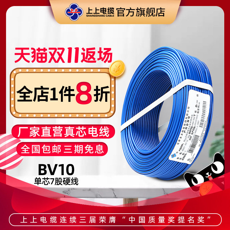 上上电线电缆 ZR-BV10平方单芯无氧铜芯硬电线家用进户线