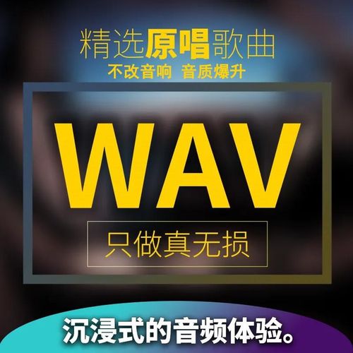 代刻录光盘数据光碟片车载无损定制自选歌曲订制作黑胶音乐刻盘