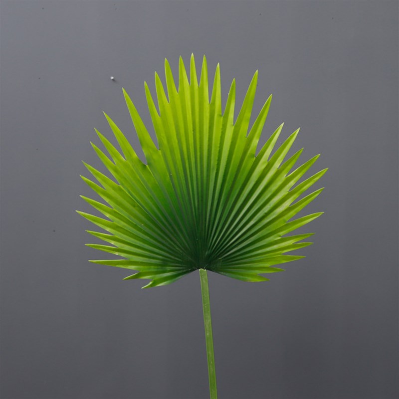 绿色仿真叶片棕榈叶室内装饰植物树叶子绿植叶蒲葵叶子蒲扇芭蕉扇
