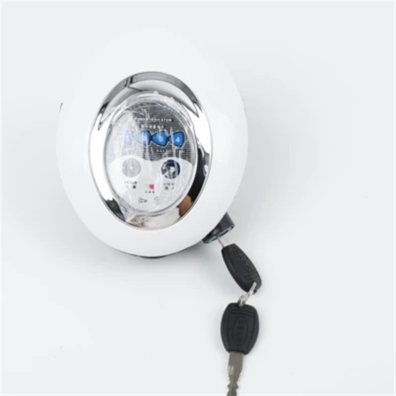 小海豚2v3V8V仪表盘车灯电量显示盘迷你电动车钥匙喇叭前照灯