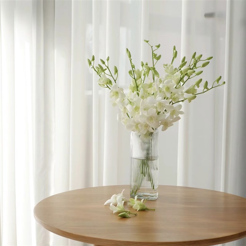 春日爆款鲜切花白色洋兰鲜花插花水养云南直发好养好开好运连连