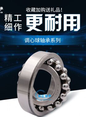 1819K轴承13 2013 1313哈尔滨2413 22进口