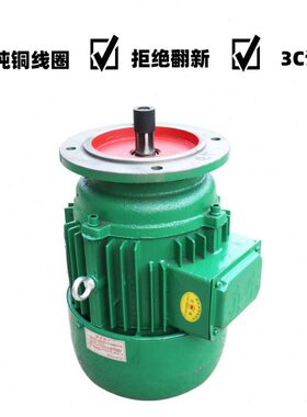 和Y..Z1EL-/K32Z14牛三相异步电机4W125W4S-转子Y5真/K5锥形河南E