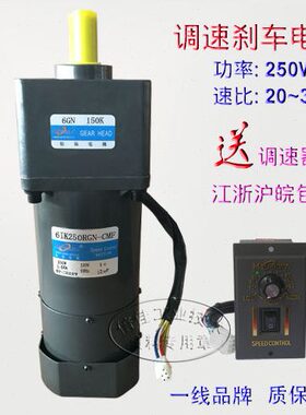 6N  交CM250速-250V刹车206GKI-RGF/K0调220减速电机N30流W松岗带