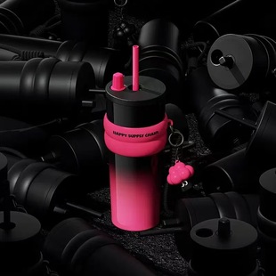 高颜值男保温杯女大容量车载陶瓷新款吸管办公室2025网红爆款水杯