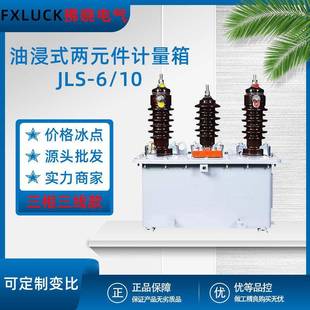 10KV两元 高压油浸式 计量箱一体组合式 件三相三线四线 互感器JLS