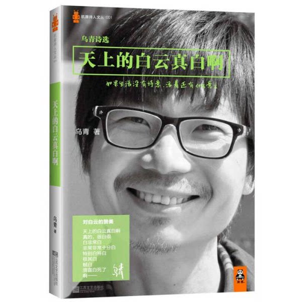 库存绝版书天上的白云真白啊：乌青诗选 9787539953748 乌青 江苏文艺出版社