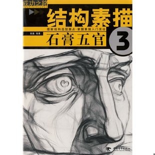 库存绝版书经典全集素描几何体石膏8开临摹本书单个体结构与明暗静物组合精选画到位基础初学者入门大牌美术敲门砖教程杨建飞 9787