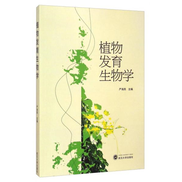 库存绝版非全新 售价高于定价