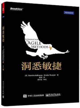 库存绝版书洞悉敏捷 9787121264528 （美）阿什莫尔（Ashmore,S.),(美）鲁尼恩（Runyan,K.）著,黄喆译 电子工业出版社