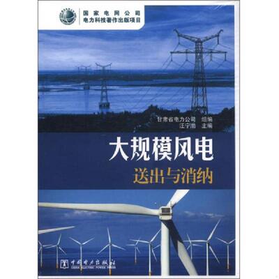 库存绝版书大规模风电送出与消纳 9787512334489 汪宁渤编 中国电力出版社