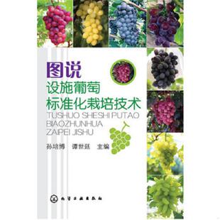 书图说设施葡萄标准化栽培技术 化学工业出版 9787122186232 谭世廷编 社 孙培博 库存绝版