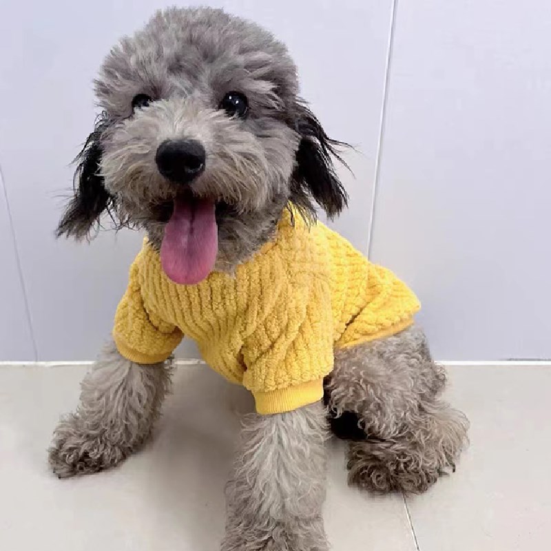狗狗可牵引衣服秋冬保暖加厚新款卫衣泰迪比熊小型犬幼犬宠物冬装