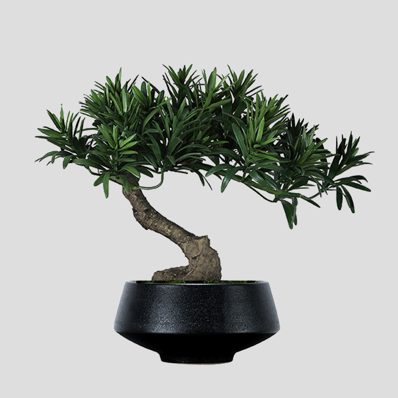 中式仿真创意罗汉松盆景前台茶几茶室餐厅墙柜博古架装饰桌面摆件