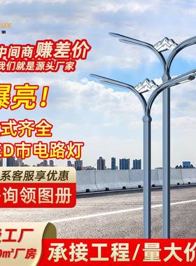 LED市政路灯1012米新农村路灯双头方管双臂高杆路灯道路照明双杆